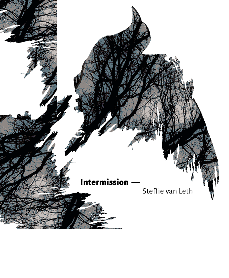 Steffie van Leth | CD Intermission